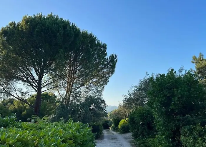 En Drome Provencale Mazet De Charme Avec Piscine