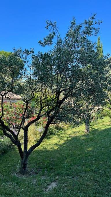 En Drome Provencale Mazet De Charme Avec Piscine Holiday home Mirabel-aux-Baronnies