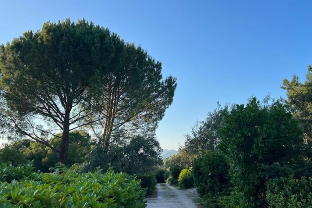 Holiday home En Drome Provencale Mazet De Charme Avec Piscine